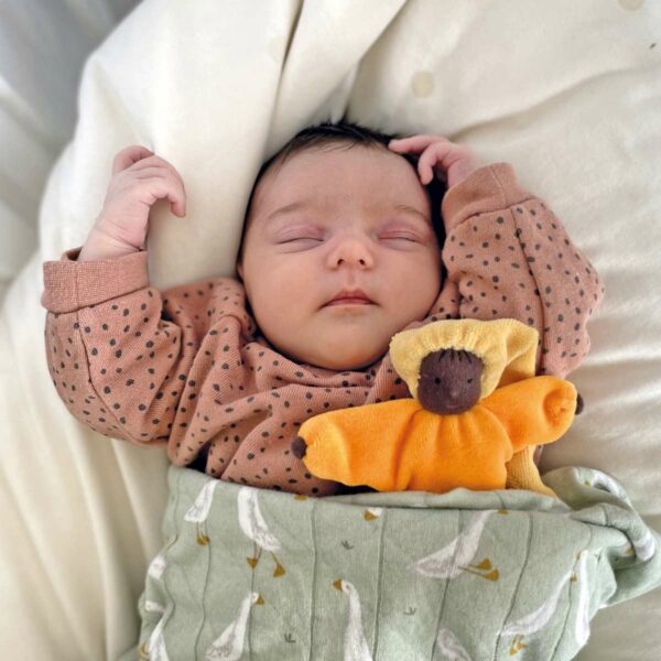 Grimm's Lavender Doll Sun - Image 3