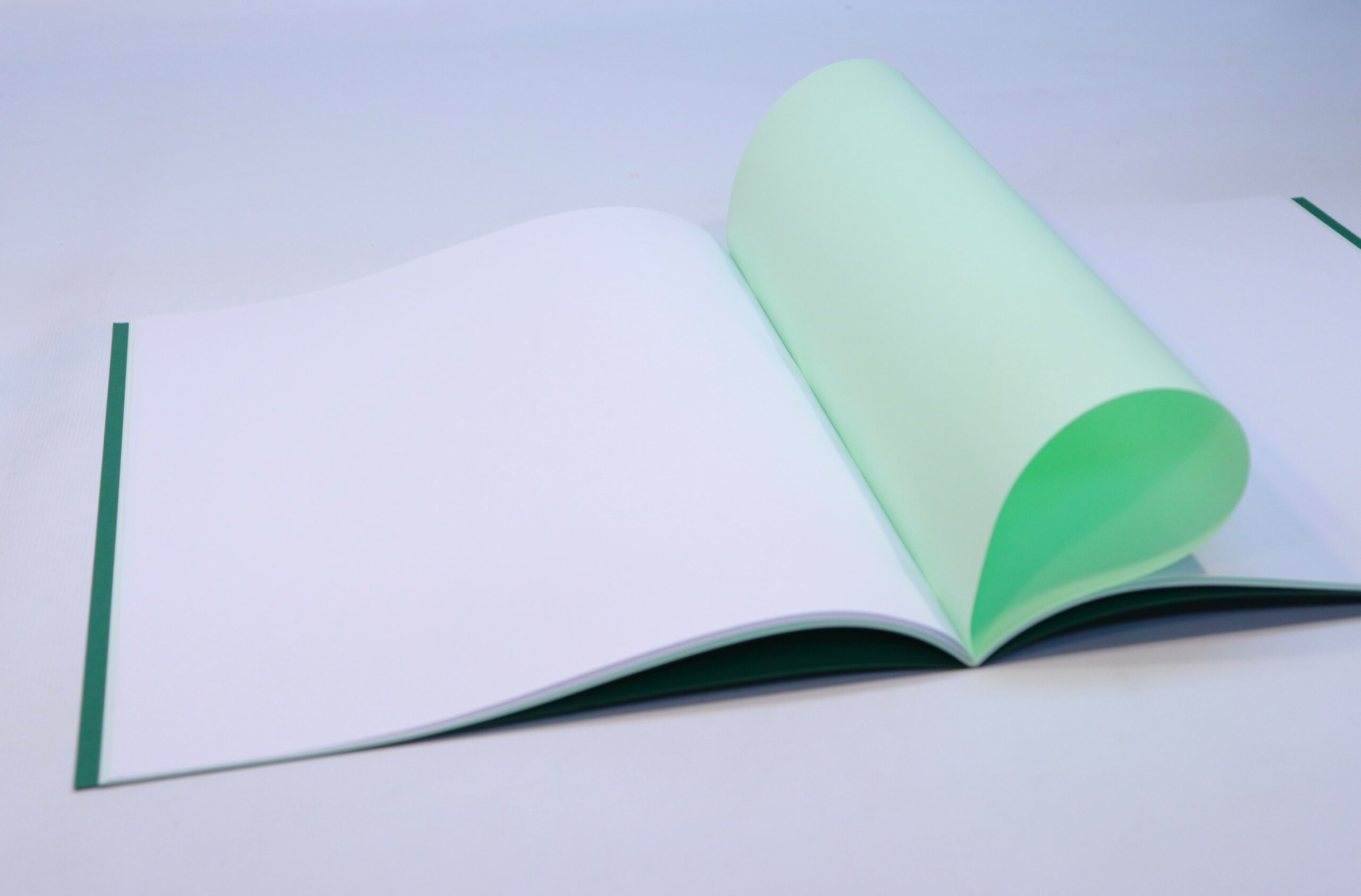 Sedulus Main Lesson Book A3 Portrait Dark Green w Tissue, 10 Pk - Image 3