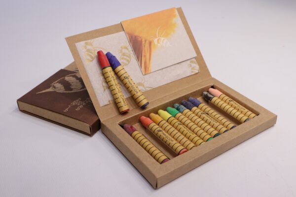Apiscor 12 Stick Crayons Rainbow Assortment