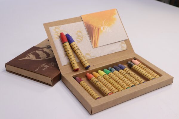 Apiscor 12 Stick Crayons Rainbow Assortment - Image 3
