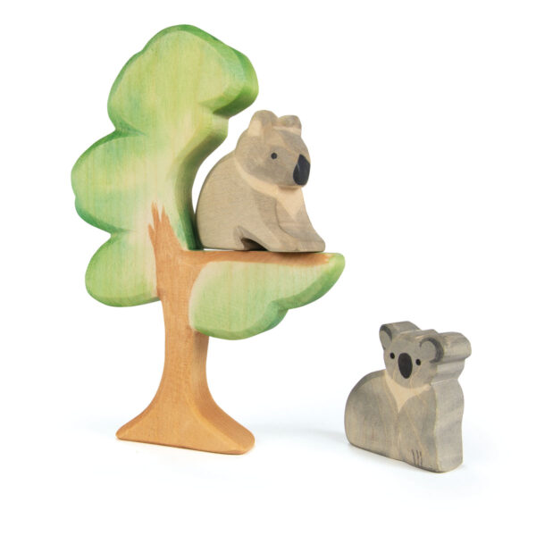 Ostheimer Eucalyptus Tree - Image 3