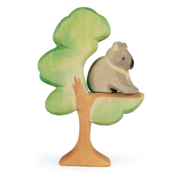 Ostheimer Eucalyptus Tree - Image 2