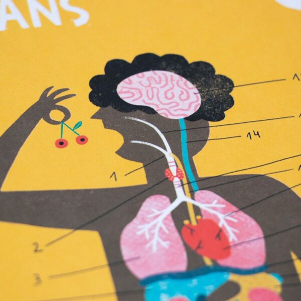 Londji Learn and Fun - Inside me - Image 4