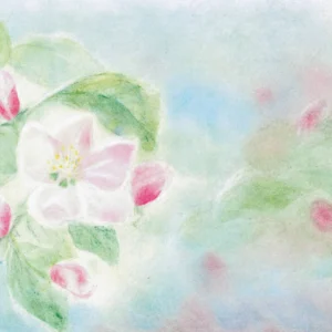 Postcard Apple Blossom