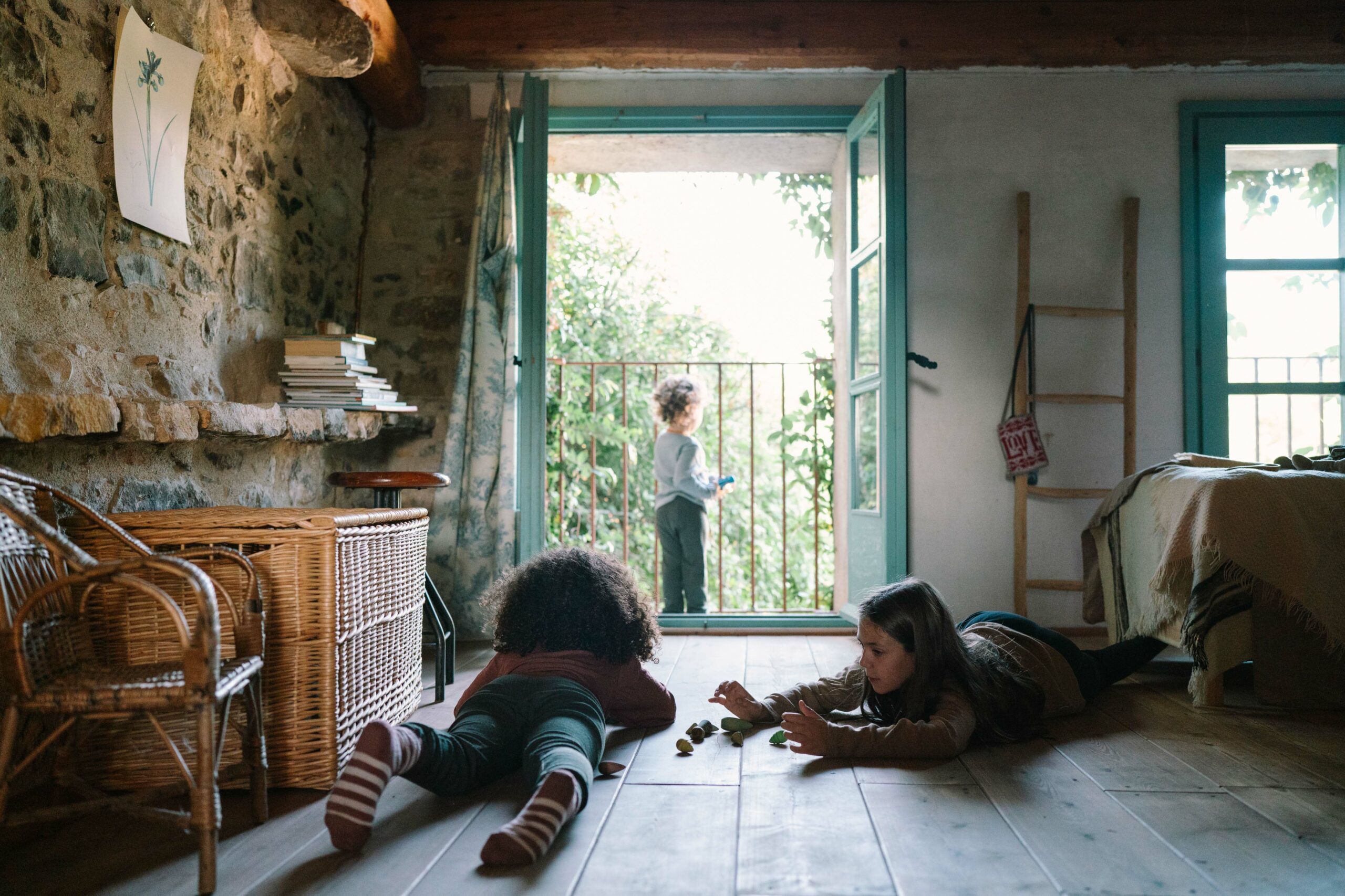 Grapat Forest Tree - Image 7