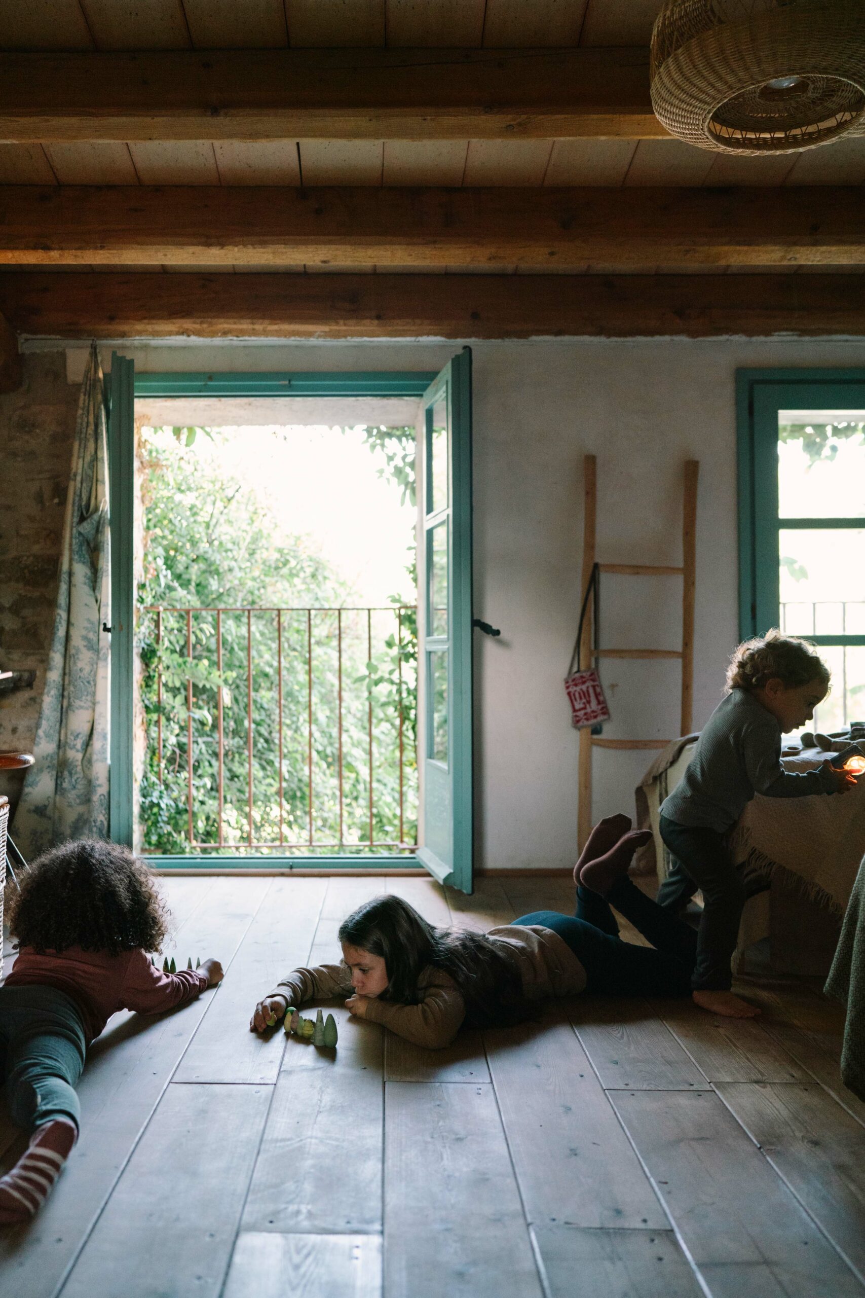 Grapat Forest Tree - Image 10