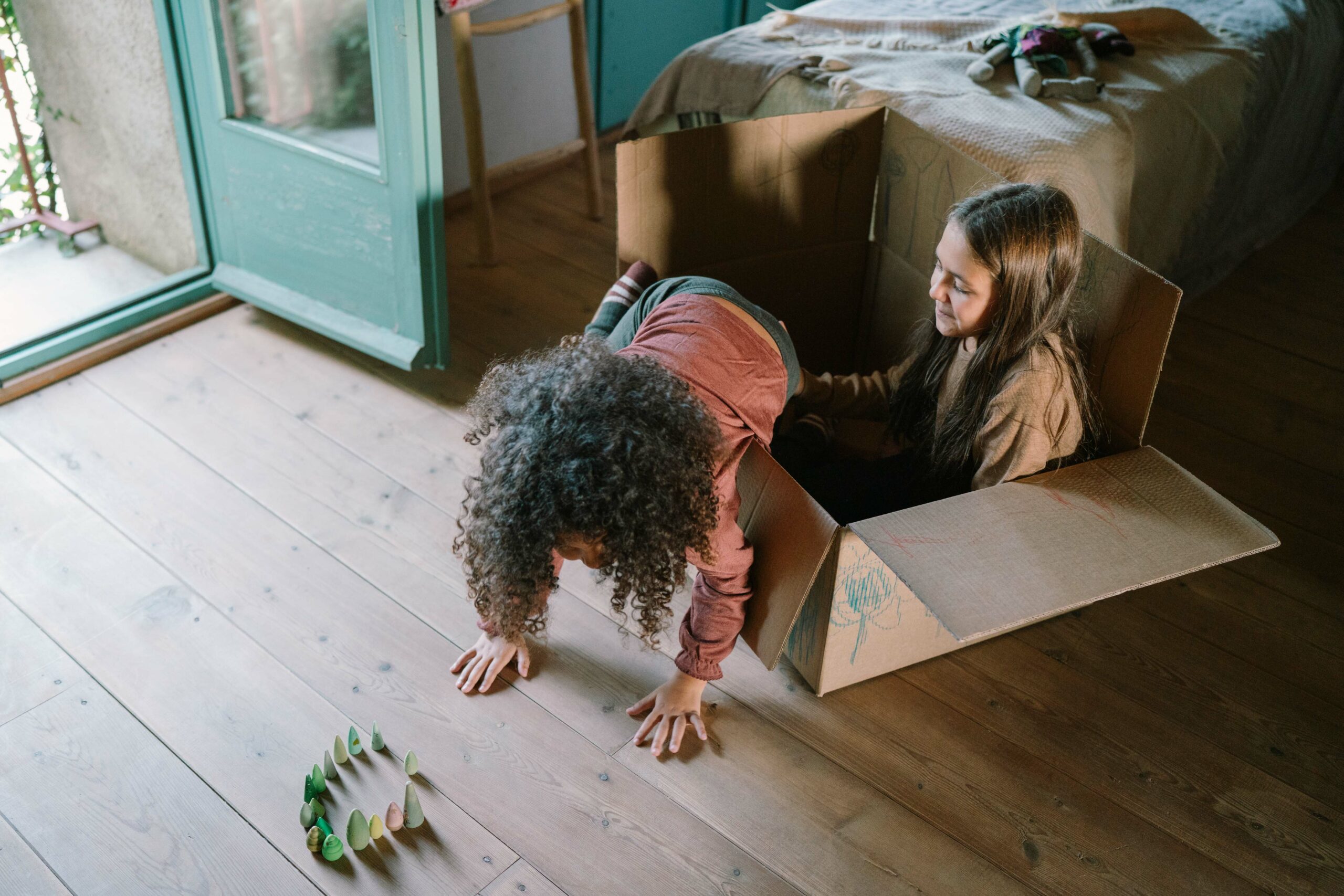 Grapat Forest Tree - Image 9