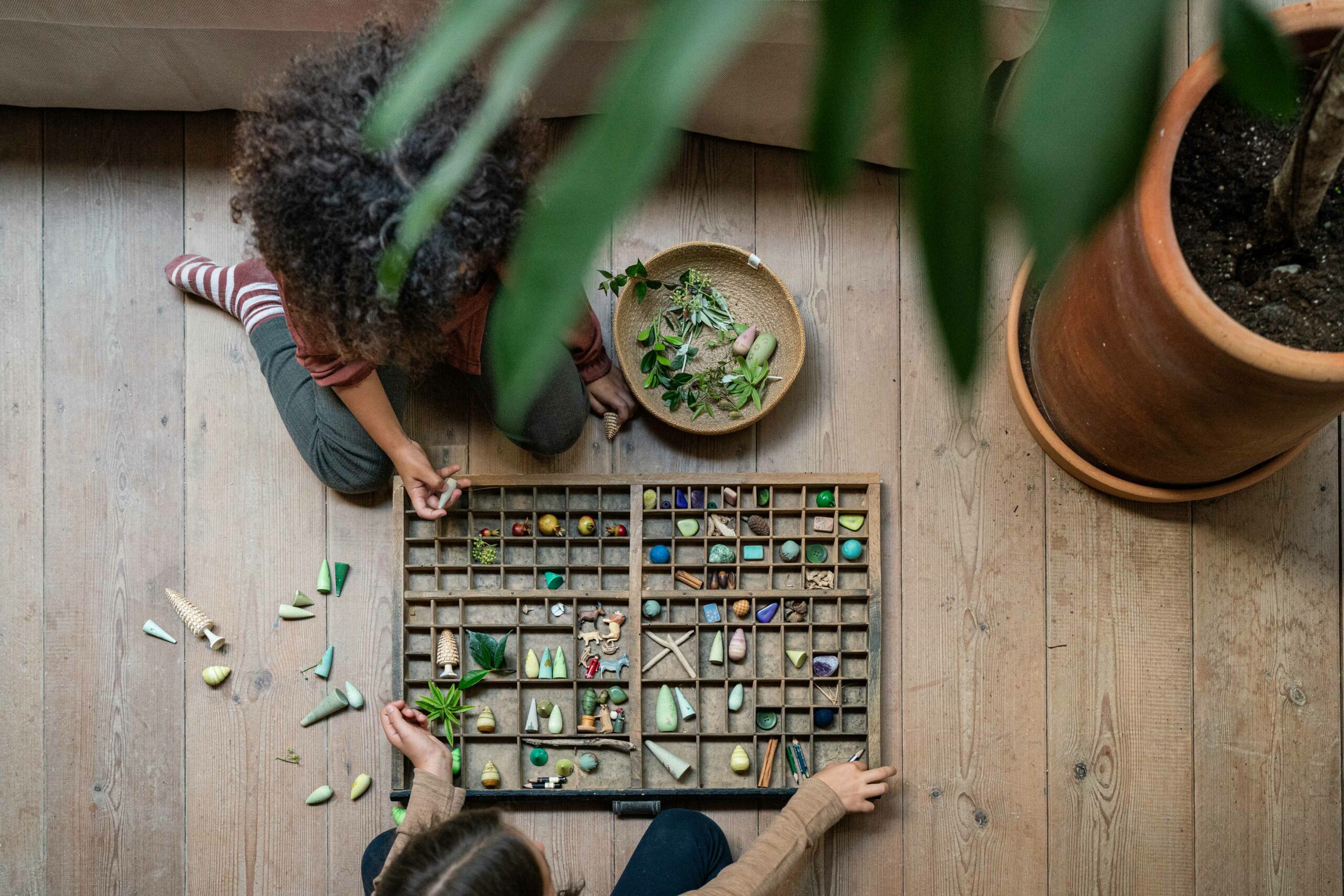 Grapat Forest Tree - Image 4