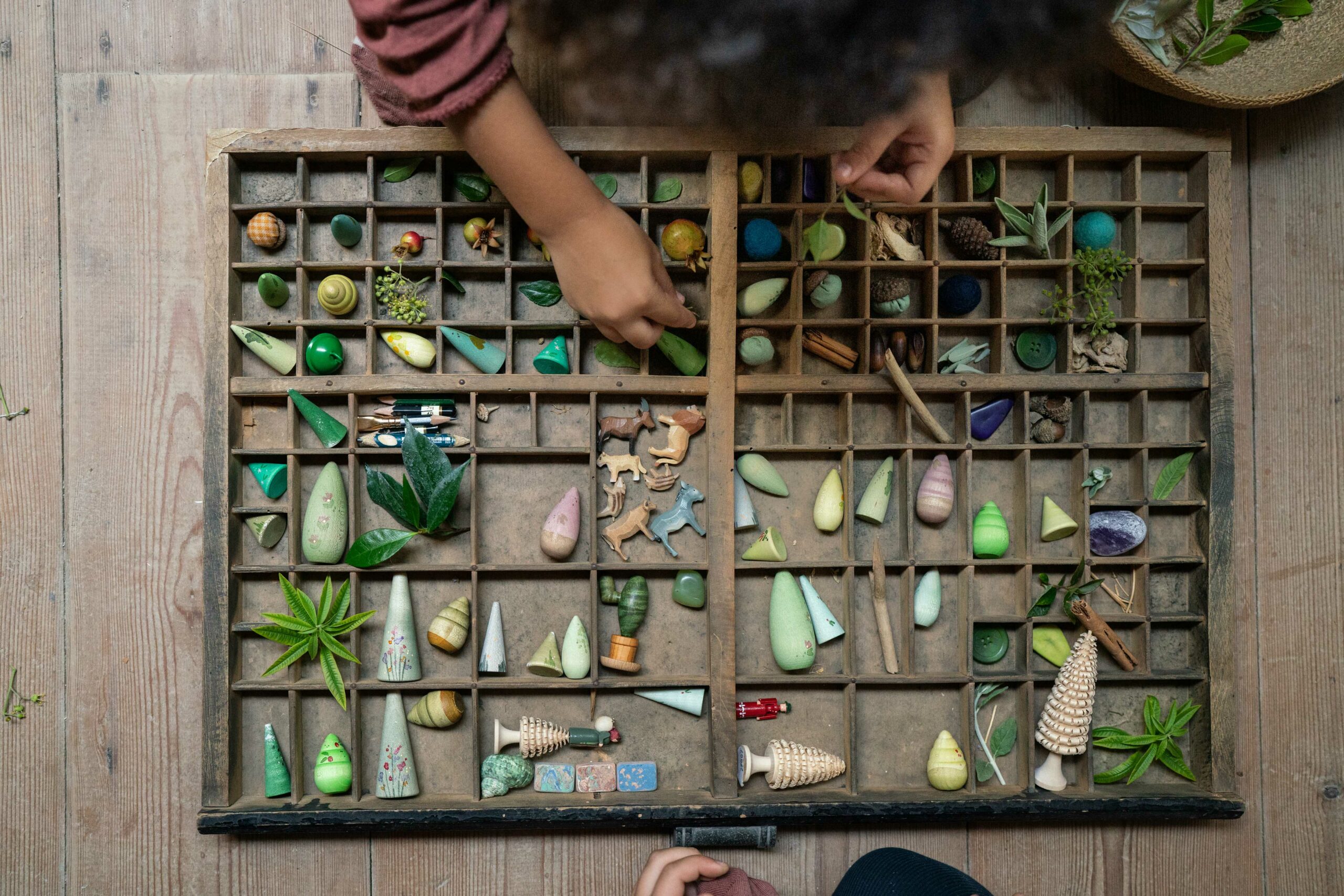 Grapat Forest Tree - Image 3