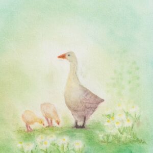 Seccorell Postcard Goose