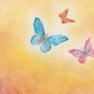 Seccorell Postcard Butterfly