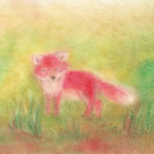 Seccorell Postcard Fox