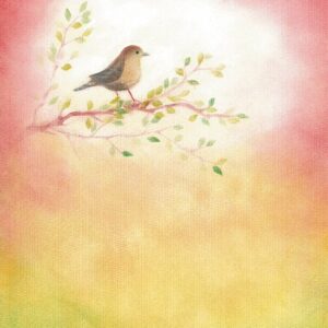Seccorell Postcard Wren